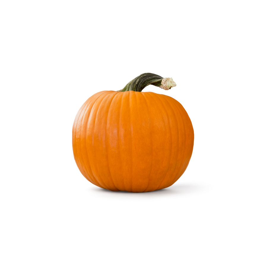 Halloween Pumpkin