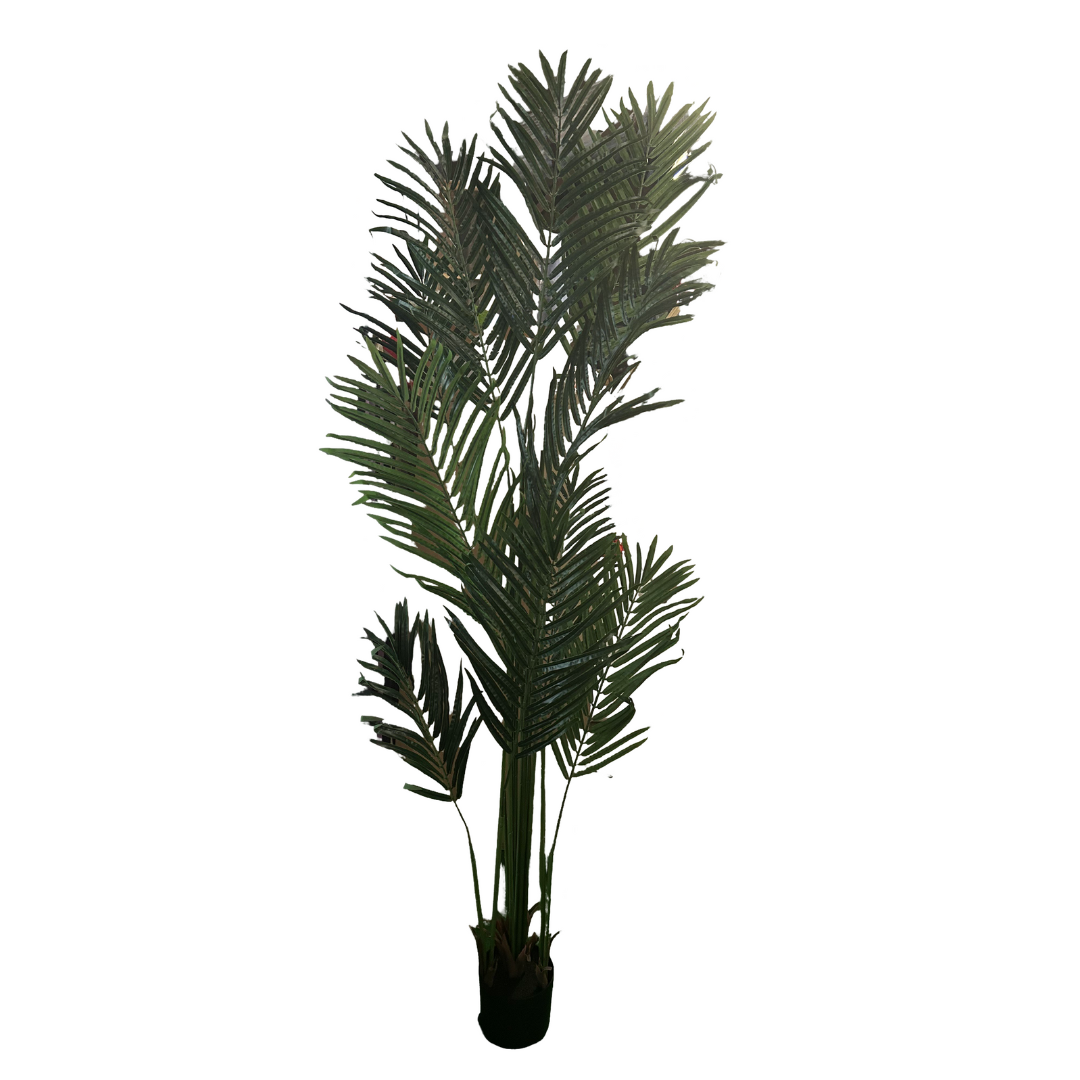 JUNGLE TREES