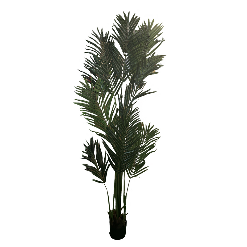 JUNGLE TREES