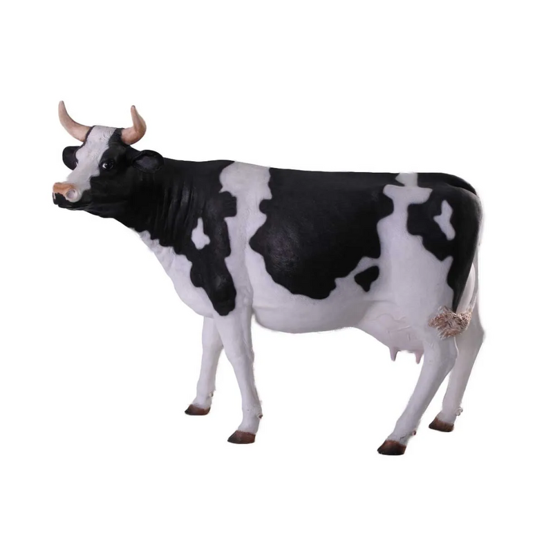 Cow farm