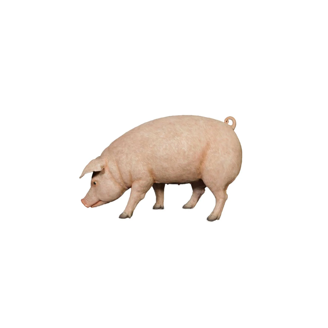 PIG PROP
