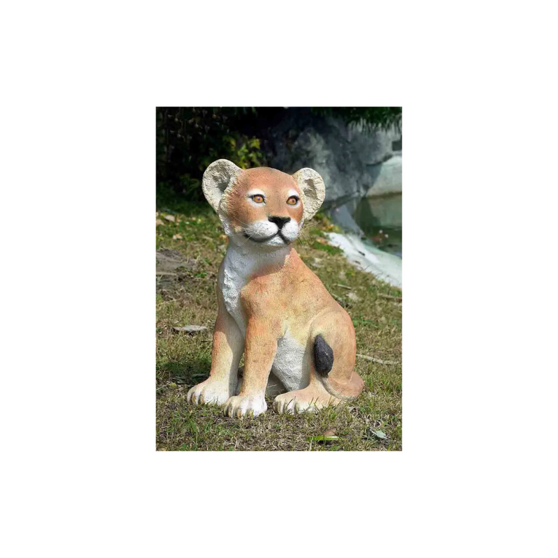 Lion Cub