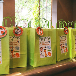 PARTY BAGS - CANVAS, PAPER, LAMINATED