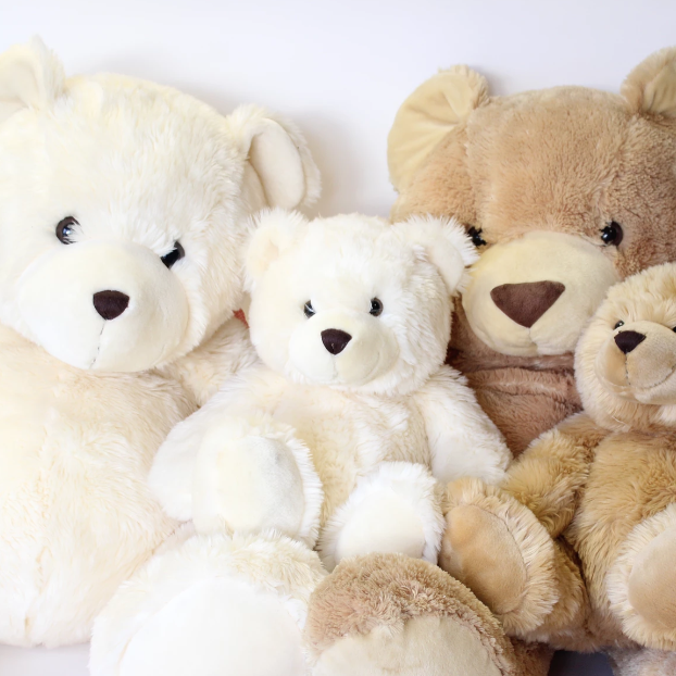 SET OF TEDDY BEARS